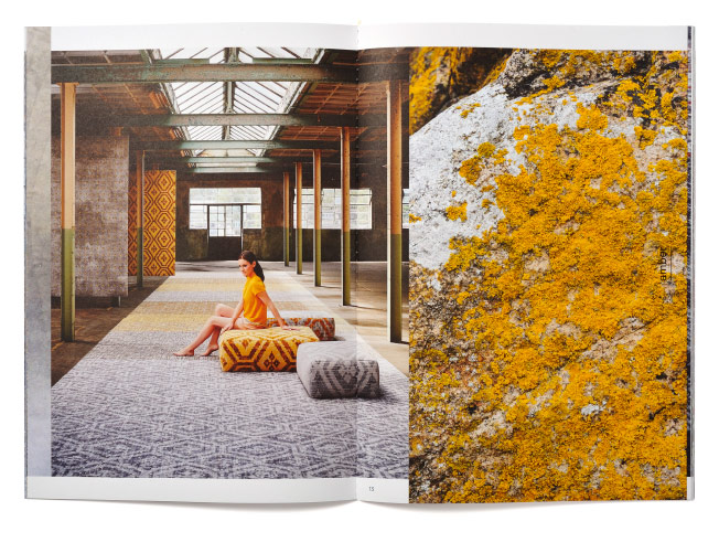 desso-ex-brochure-03