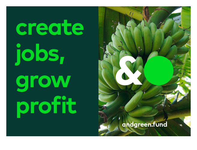 and-green-brochure-03